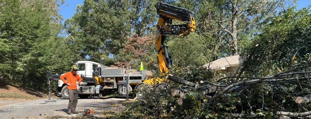 Workers clearing fallen tree branches with truck crane