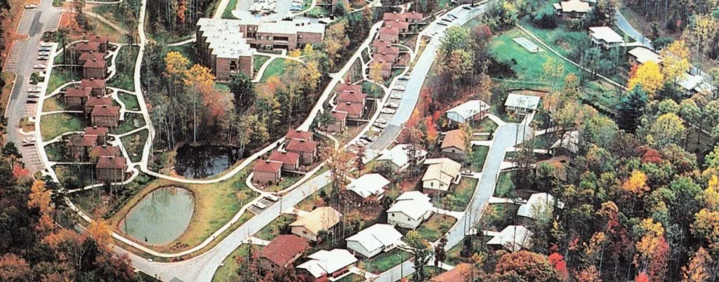 Aerial view of suburban neighborhood with trees and pond