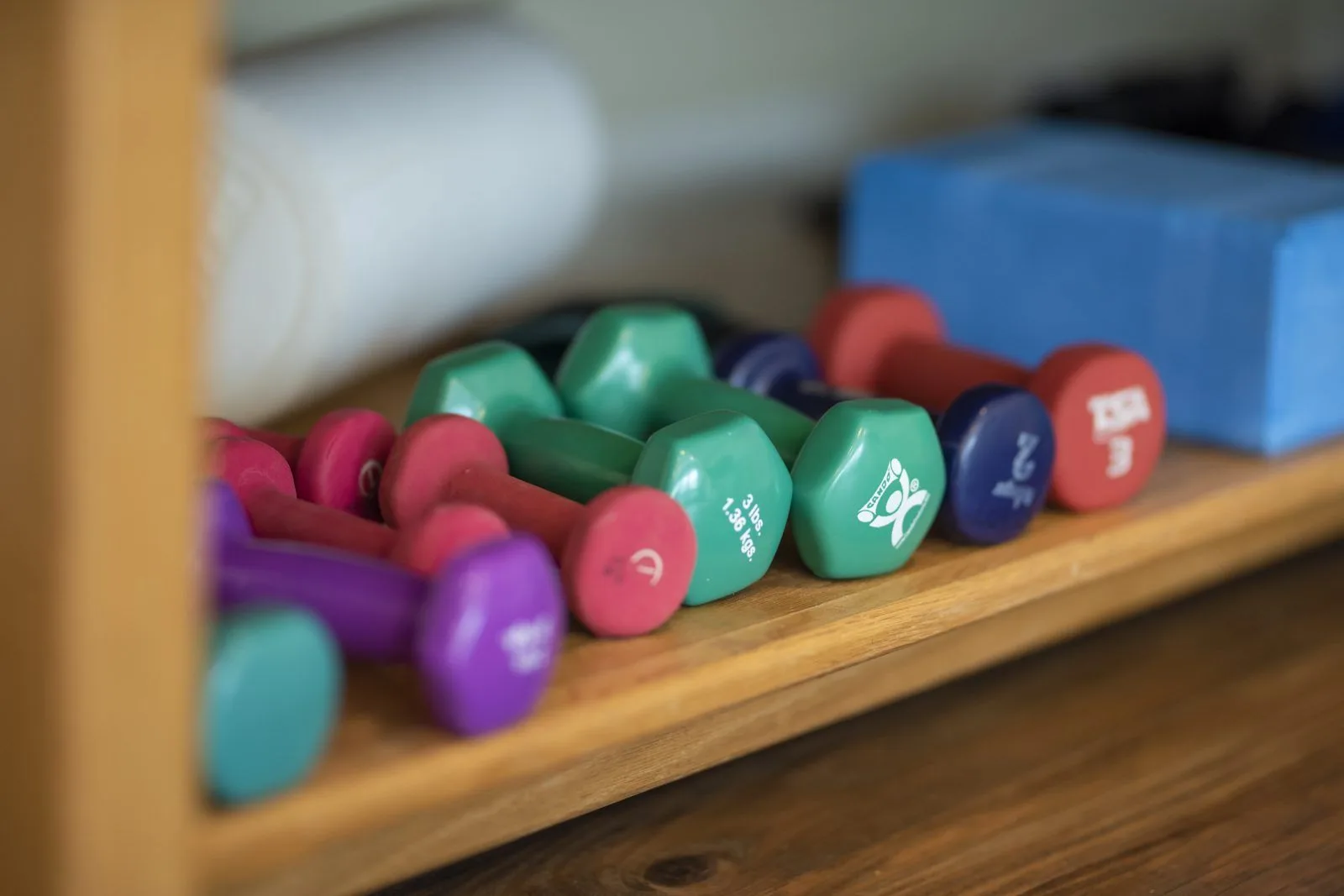 Colorful dumbbells on wooden gym shelf